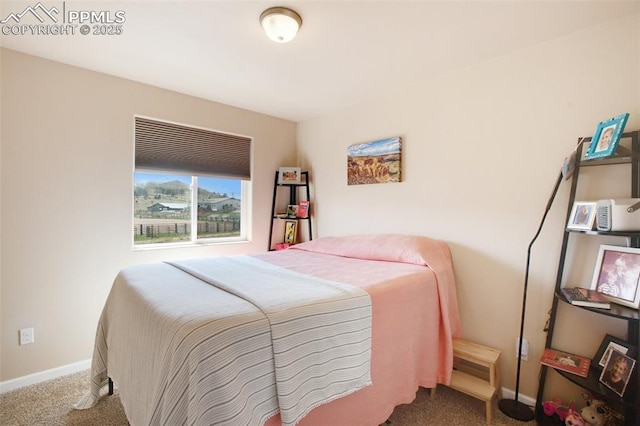 bedroom with carpet flooring