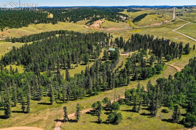 birds eye view of property with a rural view