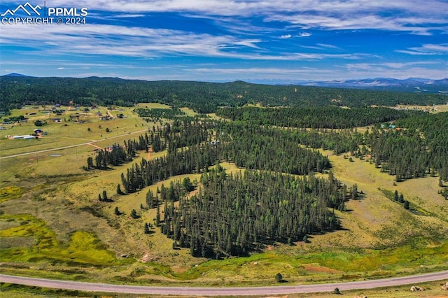 drone / aerial view featuring a mountain view