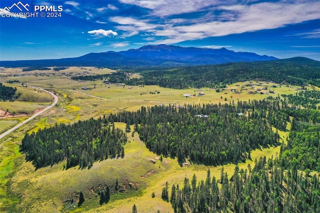 drone / aerial view with a mountain view