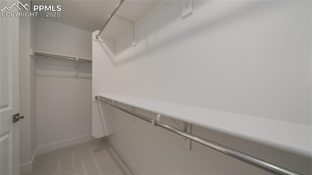 spacious closet with light colored carpet