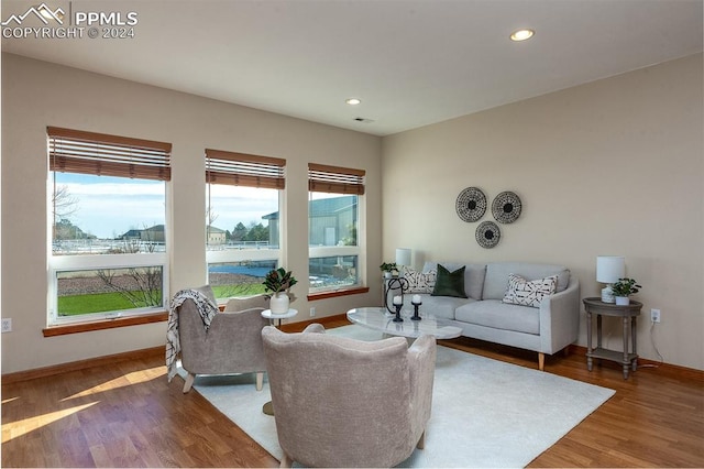 living room with wood-type flooring and a wealth of natural light