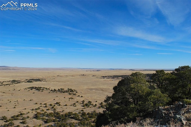 view of local wilderness