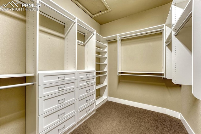 walk in closet featuring carpet flooring