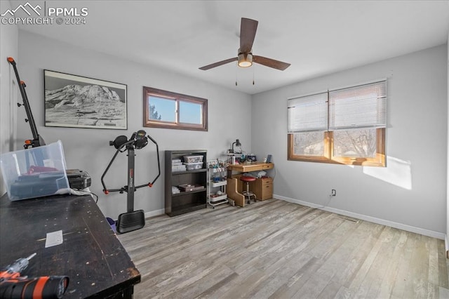 office area featuring ceiling fan, light hardwood / wood-style floors, and a wealth of natural light