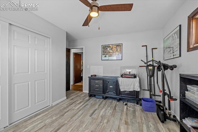 exercise room featuring light hardwood / wood-style flooring and ceiling fan