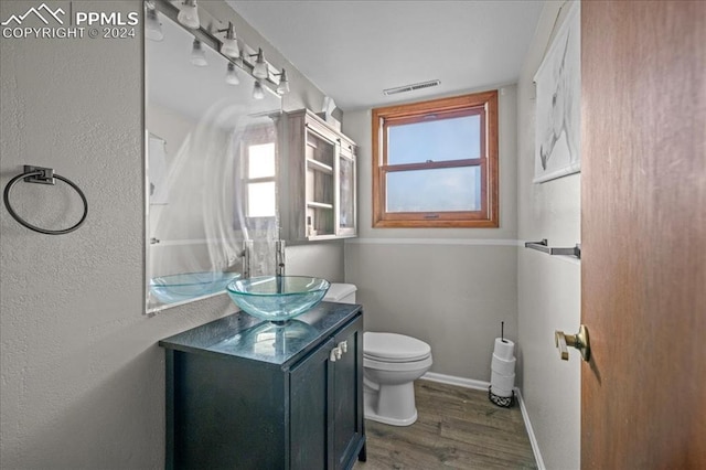 bathroom featuring hardwood / wood-style flooring, vanity, and toilet