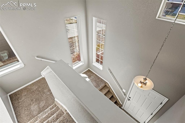 stairs with carpet flooring and a wealth of natural light