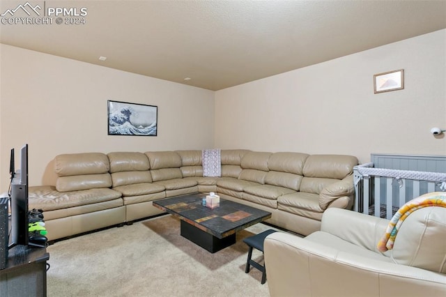 living room with light colored carpet