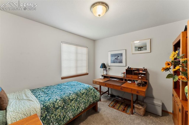 bedroom featuring carpet flooring