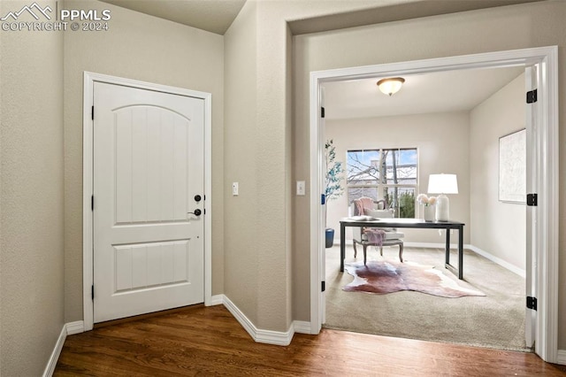 entryway featuring dark wood-type flooring