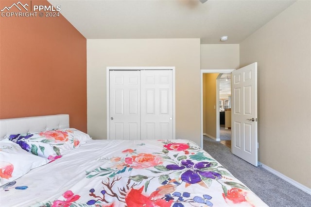 bedroom with carpet and a closet