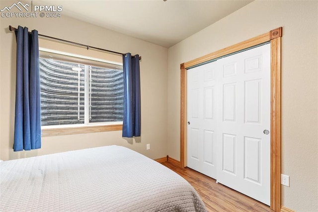 bedroom with wood-type flooring and a closet