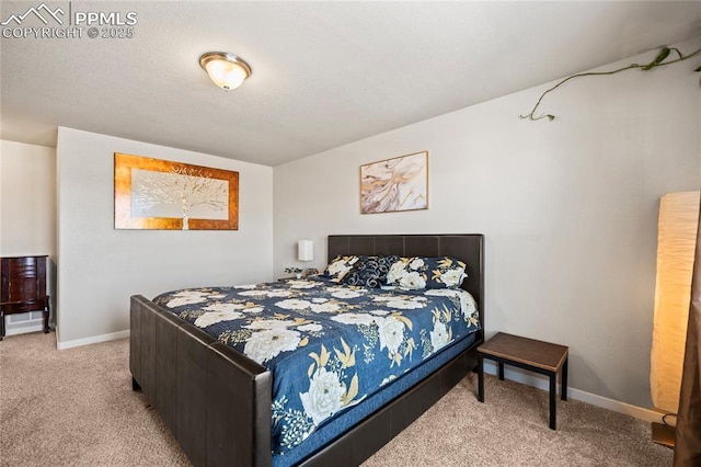 bedroom with carpet floors