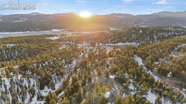 189 Navajo Trl, Florissant CO, 80816 land for sale