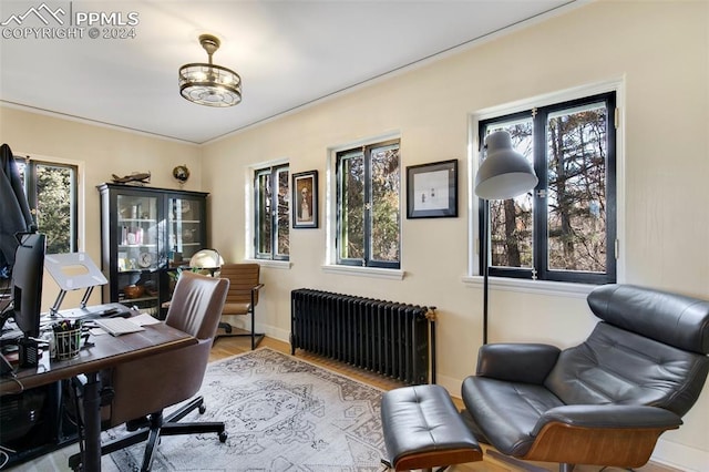 office featuring light wood-type flooring and radiator