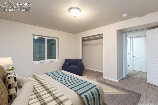 carpeted bedroom featuring a closet