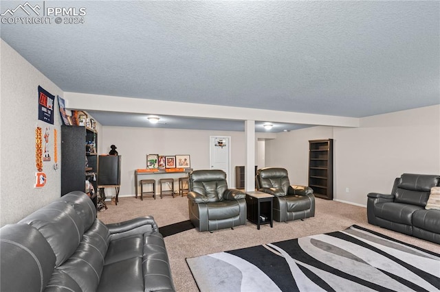 carpeted living room with a textured ceiling