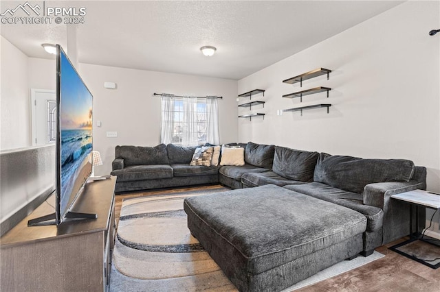 living room featuring hardwood / wood-style floors and a textured ceiling