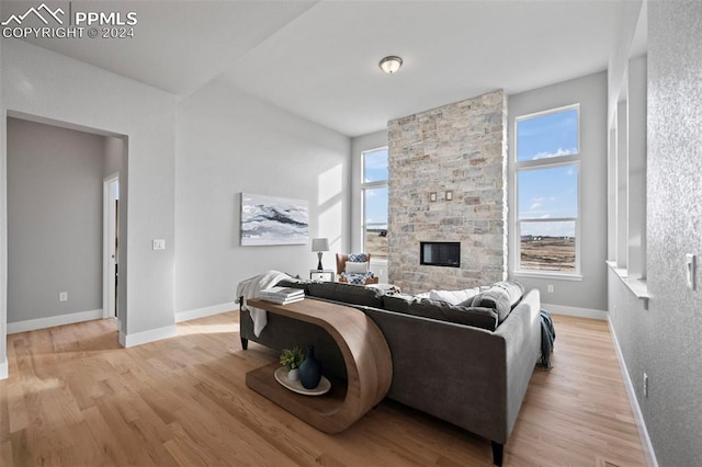 living room featuring a fireplace and light wood-type flooring