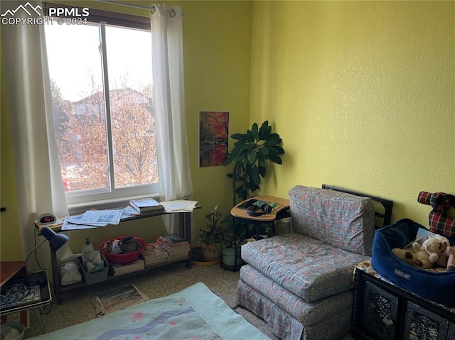 sitting room with carpet, a mountain view, and a wealth of natural light