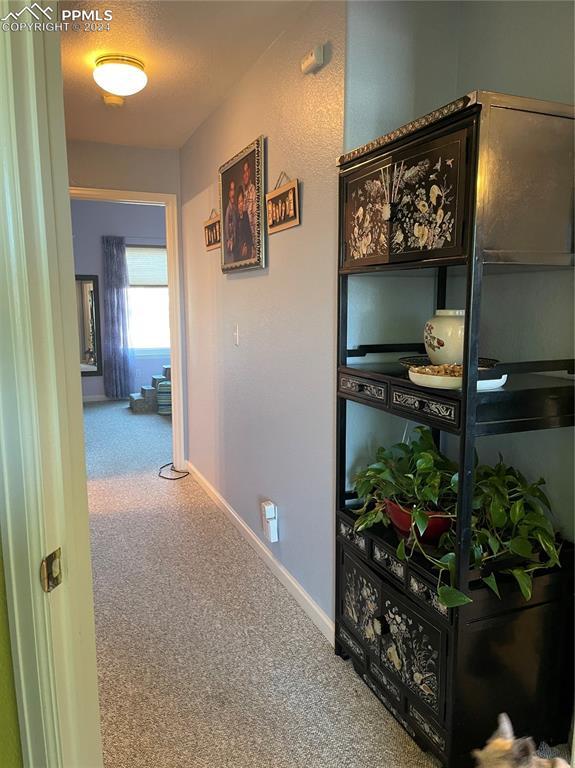 hallway featuring carpet flooring