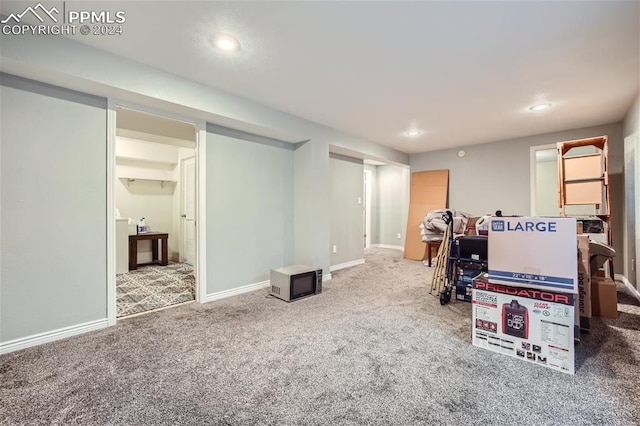 basement featuring carpet