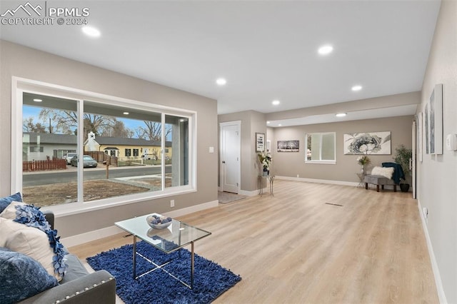 living room with light wood-type flooring