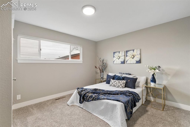 view of carpeted bedroom