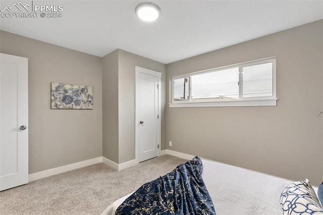 view of carpeted bedroom