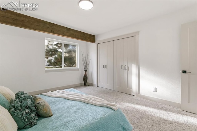 bedroom with a closet and carpet floors