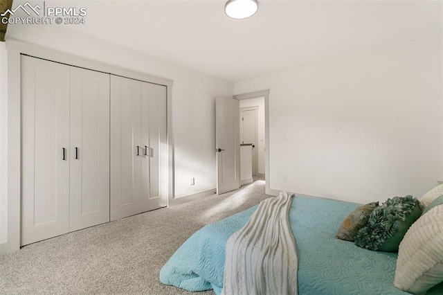 bedroom featuring a closet and carpet floors