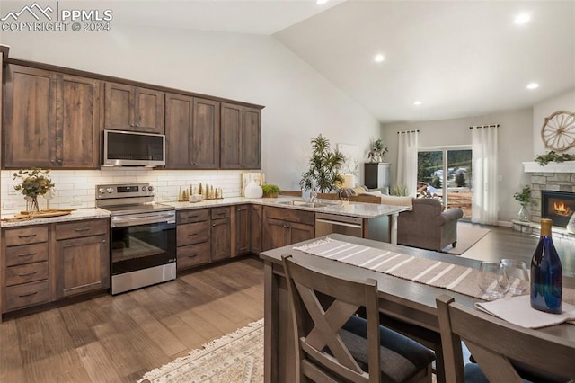 kitchen with a stone fireplace, sink, dark hardwood / wood-style floors, light stone countertops, and stainless steel appliances