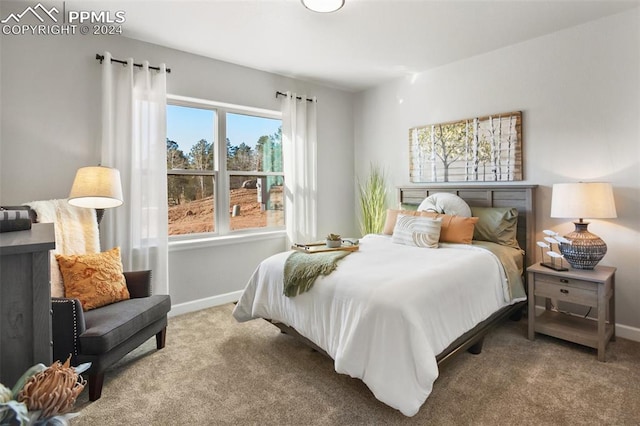 carpeted bedroom with multiple windows