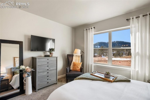 bedroom featuring light carpet