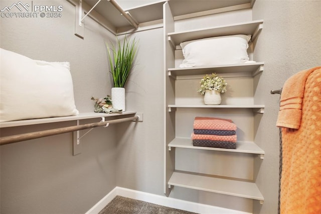 spacious closet featuring carpet flooring