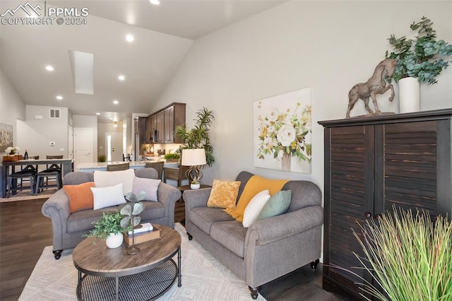 living room featuring wood-type flooring and high vaulted ceiling