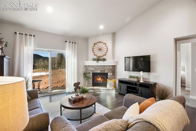 living room with a stone fireplace and dark hardwood / wood-style flooring