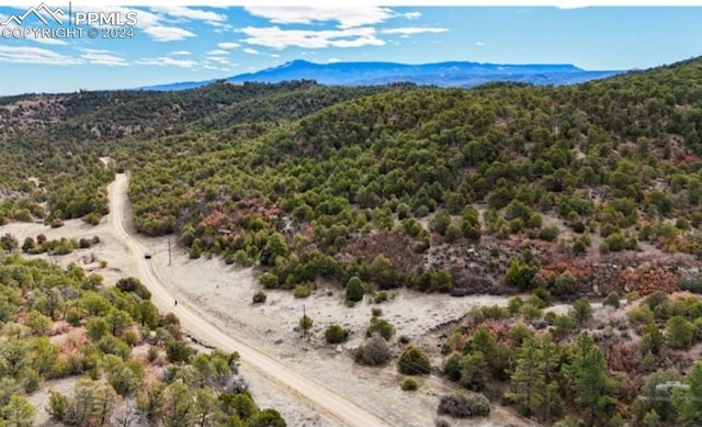 6190 Farview Valley Rd, Trinidad CO, 81082 land for sale