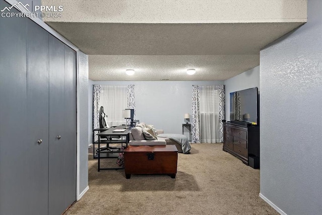 interior space with carpet and a textured ceiling