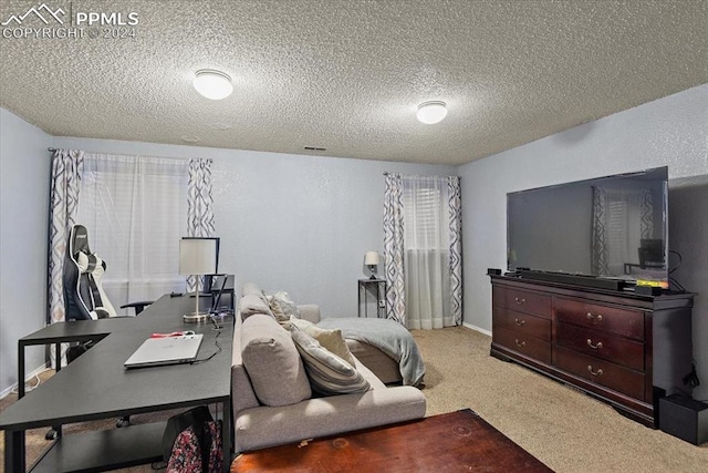 carpeted bedroom with a textured ceiling