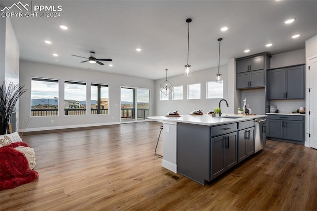 kitchen featuring dark hardwood / wood-style flooring, sink, a kitchen island with sink, and dishwasher