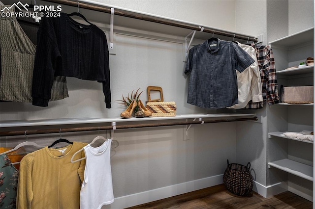 spacious closet with hardwood / wood-style floors