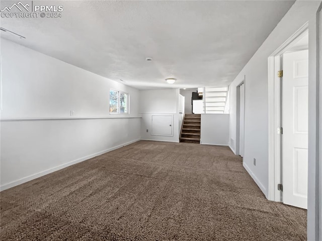 unfurnished room with carpet floors