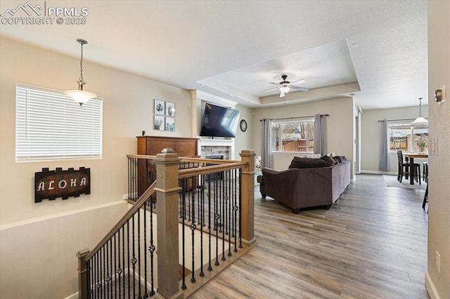 living room featuring hardwood / wood-style floors, ceiling fan, and a raised ceiling