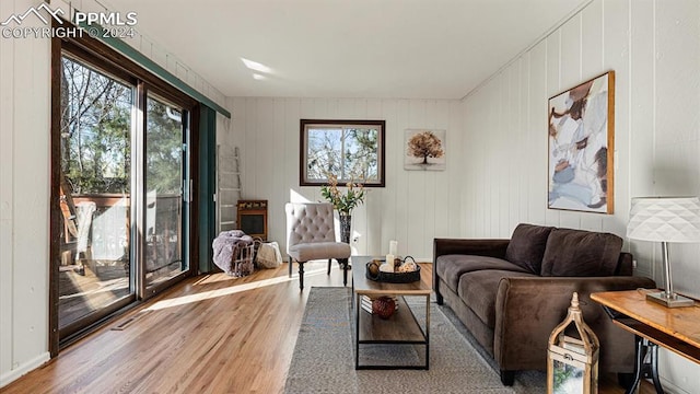 living room with wood walls and wood-type flooring