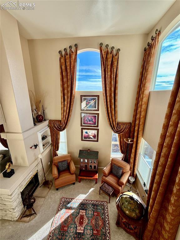 living area featuring plenty of natural light and light carpet