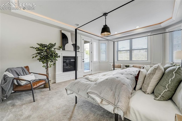 carpeted bedroom with crown molding, a tray ceiling, and access to outside