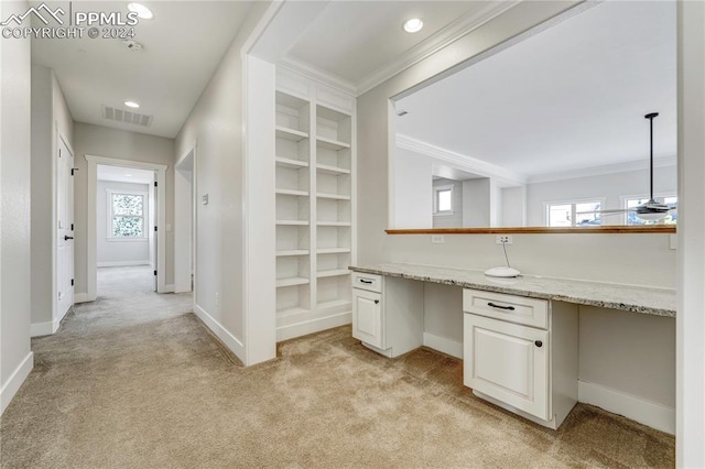 bathroom with crown molding, a healthy amount of sunlight, built in features, and vanity