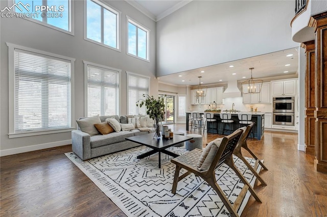 living room featuring dark hardwood / wood-style flooring, crown molding, a high ceiling, and sink